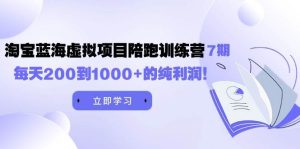黄岛主《淘宝蓝海虚拟项目陪跑训练营7期》每天200到1000+的纯利润网赚项目-副业赚钱-互联网创业-资源整合众享汇研习社