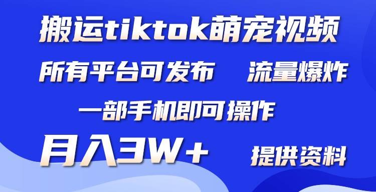 搬运Tiktok萌宠类视频,一部手机即可。所有短视频平台均可操作,月入3W+网赚项目-副业赚钱-互联网创业-资源整合众享汇研习社