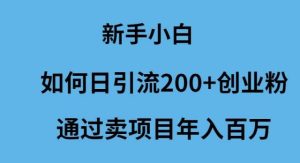 新手小白如何日引流200+创业粉通过卖项目年入百万网赚项目-副业赚钱-互联网创业-资源整合众享汇研习社