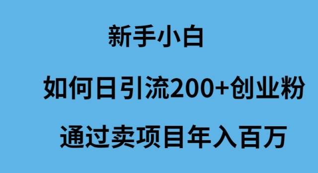 新手小白如何日引流200+创业粉通过卖项目年入百万网赚项目-副业赚钱-互联网创业-资源整合众享汇研习社