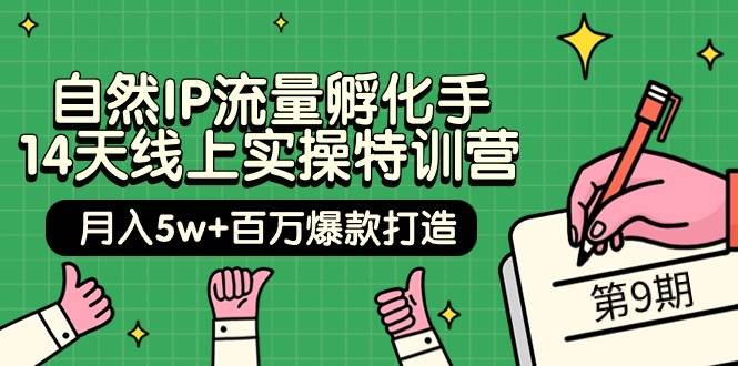 自然IP流量孵化手 14天线上实操特训营【第9期】月入5w+百万爆款打造 (74节)网赚项目-副业赚钱-互联网创业-资源整合众享汇研习社