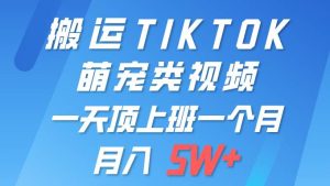 一键搬运TIKTOK萌宠类视频 一部手机即可操作 所有平台均可发布 轻松月入5W+网赚项目-副业赚钱-互联网创业-资源整合众享汇研习社