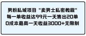 男粉私域项目 卖男士私密教程 每一单收益达99元一天售出20单网赚项目-副业赚钱-互联网创业-资源整合众享汇研习社