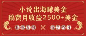 小说出海赚美金，稿费月收益2500+美金，仅需chatgpt粘贴复制，新手也能玩转网赚项目-副业赚钱-互联网创业-资源整合众享汇研习社