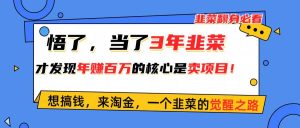 悟了，当了3年韭菜，才发现网赚圈年赚100万的核心是卖项目，含泪分享！网赚项目-副业赚钱-互联网创业-资源整合众享汇研习社