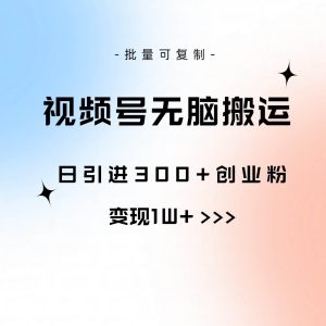 视频号无脑搬运日引300+创业粉,变现1W+可批量复制网赚项目-副业赚钱-互联网创业-资源整合众享汇研习社