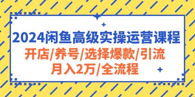 2024闲鱼高级实操运营课程：开店/养号/选择爆款/引流/月入2万/全流程网赚项目-副业赚钱-互联网创业-资源整合众享汇研习社