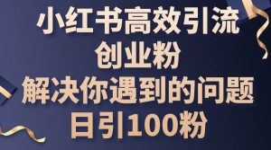 小红书高效引流创业粉，解决你遇到的问题，日引100粉网赚项目-副业赚钱-互联网创业-资源整合众享汇研习社
