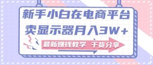 新手小白如何做到在电商平台卖显示器月入3W+，最新赚钱教学干货分享网赚项目-副业赚钱-互联网创业-资源整合众享汇研习社
