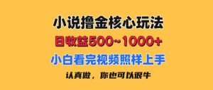 小说撸金核心玩法，日收益500-1000+，小白看完照样上手，0成本有手就行网赚项目-副业赚钱-互联网创业-资源整合众享汇研习社