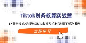 Tiktok财务核算实战营：TK业务模式/数据核算/应收款及毛利/数据下载及报表网赚项目-副业赚钱-互联网创业-资源整合众享汇研习社