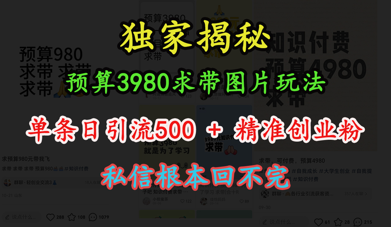 “小红书”预算3980求带 图片玩法，单条日引流500+精准创业粉，私信根本回不完网赚项目-副业赚钱-互联网创业-资源整合众享汇研习社
