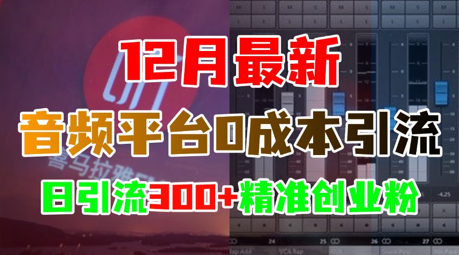 12月最新:音频平台0成本引流,日引300+精准创业粉网赚项目-副业赚钱-互联网创业-资源整合众享汇研习社
