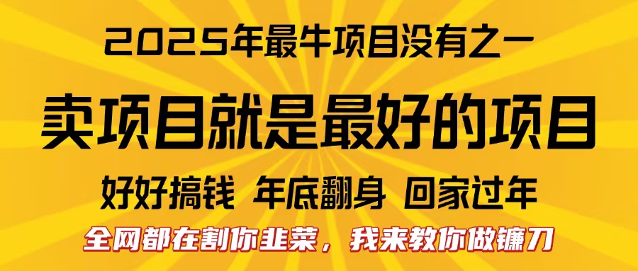全网都在割你韭菜,我来教你做镰刀。卖项目就是最好的项目,2025年最牛互联网项目网赚项目-副业赚钱-互联网创业-资源整合众享汇研习社