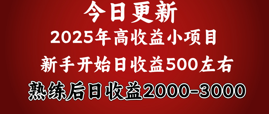 2025开年好项目，新手日收益500+ 熟练掌握后，日收益平均2000多网赚项目-副业赚钱-互联网创业-资源整合众享汇研习社